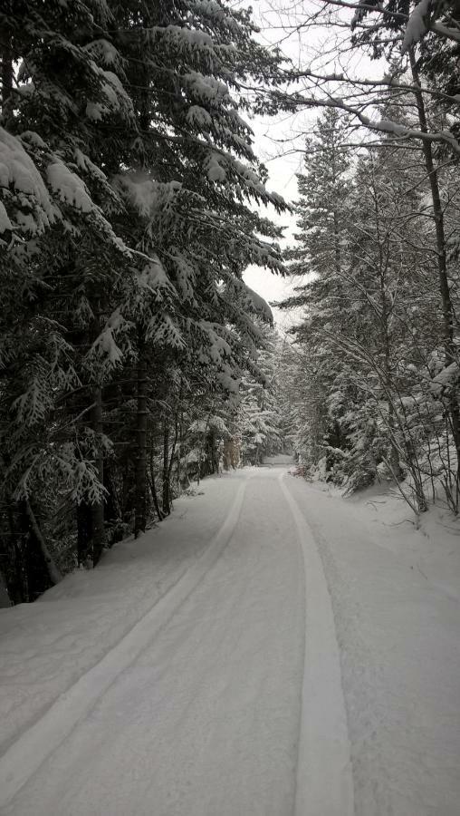 Apartamento De Montana "Nueva Canfranc" Exteriör bild